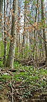 IMG_20230409_132013