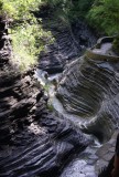 watkins glen