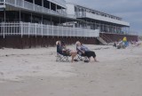 Ook zij waren op het strand....