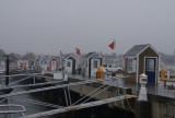 Lekker weertje op de pier
