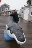 Geen whaleWatching vandaag door t slechte weer, dan maar whaleCatching!