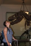 Wie is de dino?