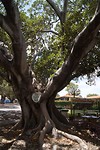 Koffiebreak in Dongara
