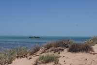 DSC08143