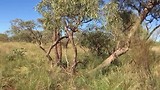 Karijini national park