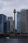 De tower of Sydney 305 meter hoog!