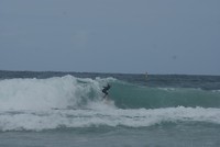 Surfing bij flinke golven