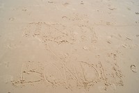 ❤Bondi Beach