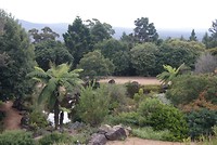Botanische tuin