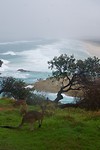 Lookout point, mooi plaatje!