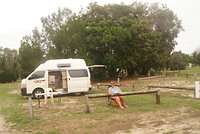 Camping bijna voor ons alleen, in de boom achter ons woonde de buurkoala.