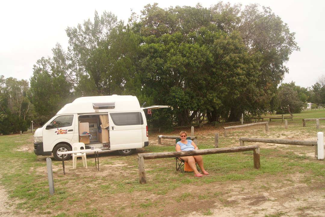Camping bijna voor ons alleen, in de boom achter ons woonde de buurkoala.
