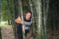 Bamboo in de botanische tuin.