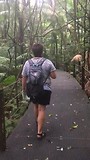 regenwoud in coffs habour
