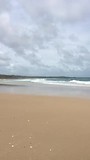 strand op Stradbroke eiland