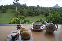 Tea whit a view.