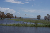 Veel wateroverlast en omgewaaide palen en bomen.