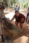 Wombat aaien.
