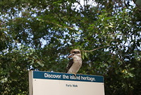Kookaburra op het bord bij de ingang van natuurpark, toepasselijker kun je het niet treffen!