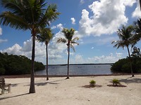 Mooi palm strand in John Pennekamp nationale park