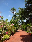 Botanisch tuin