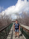 Mangrove bos, erg dor helaas...