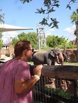 Vele dieren gezien.