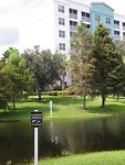 Overal kunnen alligators voor komen in Florida, dus ook hier bij het hotel.