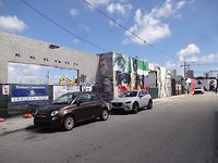 Kunst kijken in Wynwood.