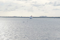 Meerdere boten varen de haven uit.