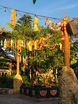Asia