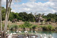 Op safari