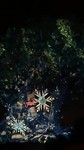 Tree of life projectie. Disney