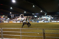 Rodeo, ze proberen op een wild paard te blijven zitten....