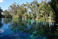 Nationale park Crystal river