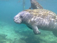 Naast ons in het water, echt fantastisch mooi