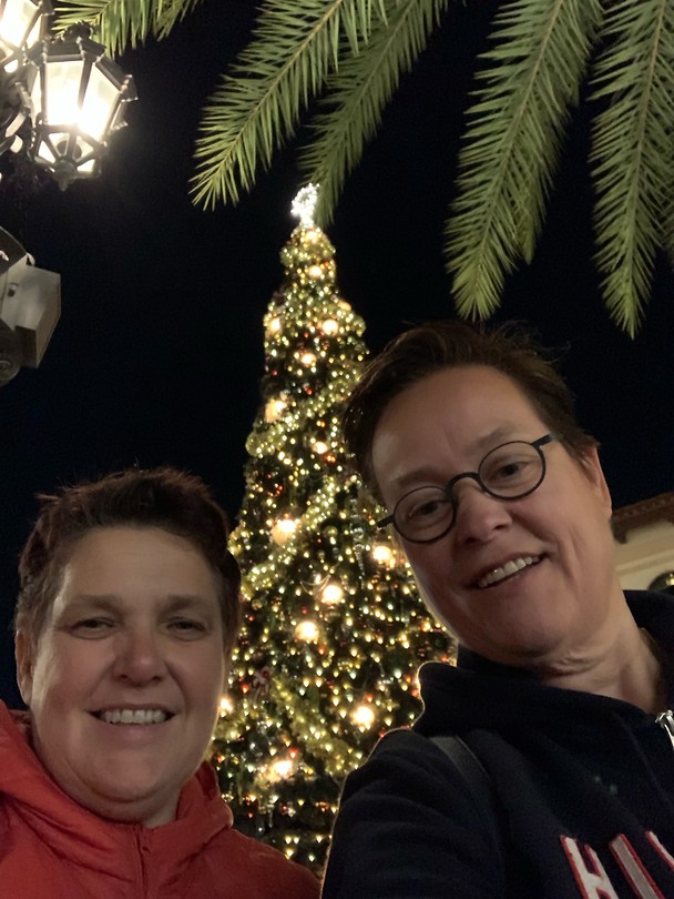 Kerstboom naast de palmboom