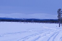 Natuurpark Pallas-Yllastunturin, heel mooi en erg afgelegen.