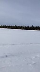 Weids landschap in noord Finland