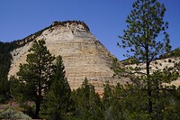 Checkered rock, Zion NP
