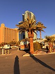 Camping (meer een parkeerplaats) op de strip tussen de wolkenkrabbers