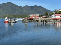 Tofino