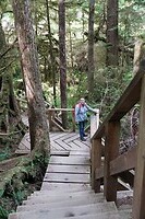 Dwars door het rainforest, van de bodem tot de top