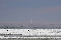 De walvis! Zie waterspuit in het midden van de foto!