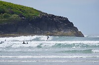 Surfen is heel moeilijk….