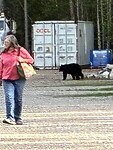 Beer op de camping, buurvrouw had even niets door…