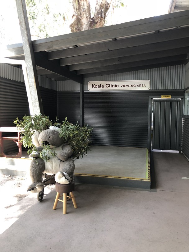 Koala Hospital