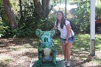Toerist in Koala Hospital