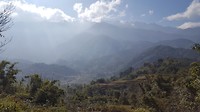 Sapa