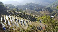 Rijstvelden Sapa